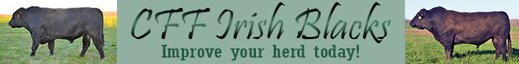 CFF Irish Blacks