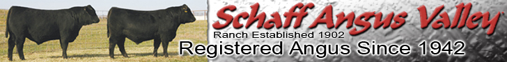 Schaff Angus Valley