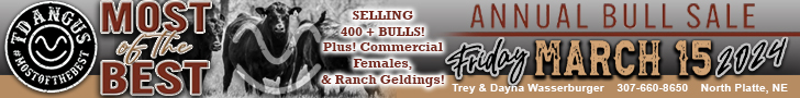 TD Angus Most of the Best Angus Bull Sale TD Angus Most of the Best Angus Bull Sale
